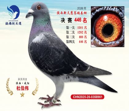陕西新天鹰决赛446名