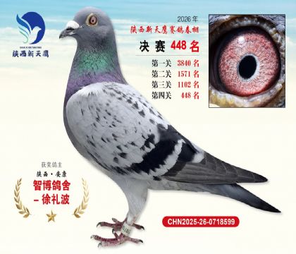 陕西新天鹰决赛448名