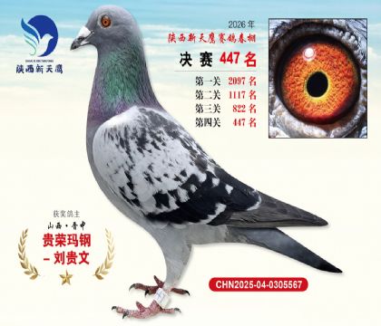 陕西新天鹰决赛447名