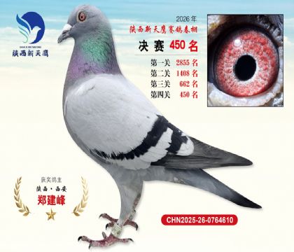 陕西新天鹰决赛450名