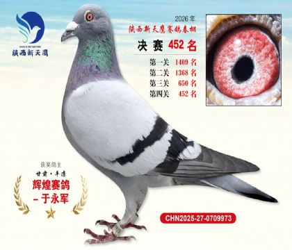 陕西新天鹰决赛452名