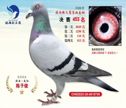 陕西新天鹰决赛453名