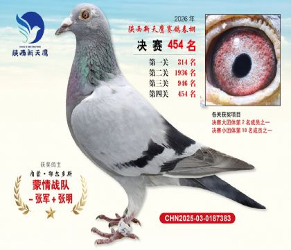 陕西新天鹰决赛454名