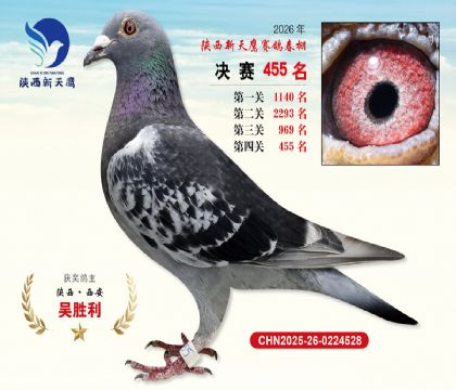 陕西新天鹰决赛455名
