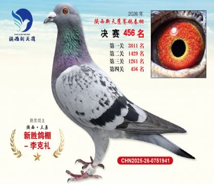 陕西新天鹰决赛456名