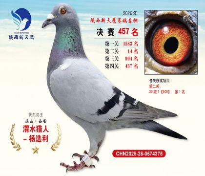 陕西新天鹰决赛457名