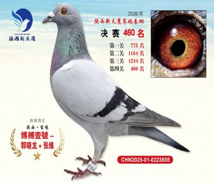 陕西新天鹰决赛460名