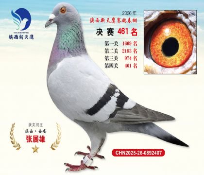 陕西新天鹰决赛461名