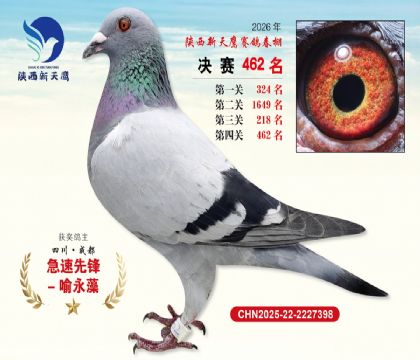 陕西新天鹰决赛462名