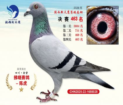 陕西新天鹰决赛463名