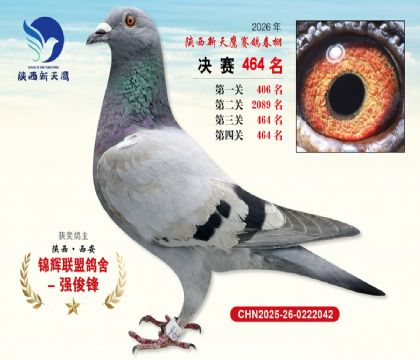 陕西新天鹰决赛464名