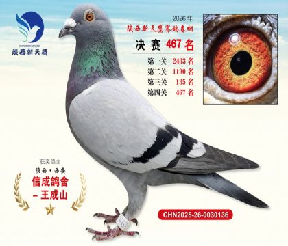 陕西新天鹰决赛467名