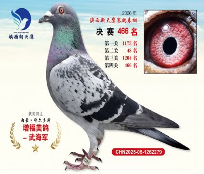 陕西新天鹰决赛466名