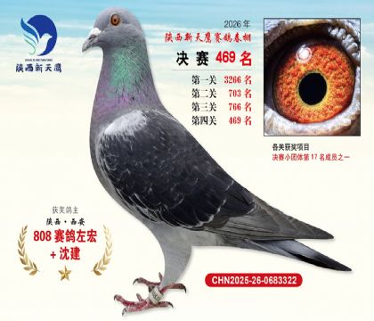 陕西新天鹰决赛469名