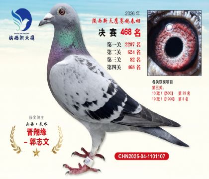 陕西新天鹰决赛468名