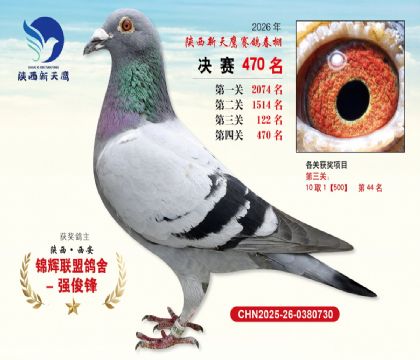 陕西新天鹰决赛470名