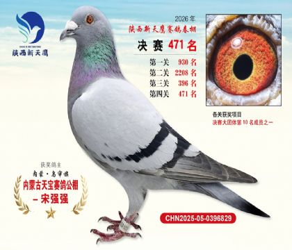 陕西新天鹰决赛471名