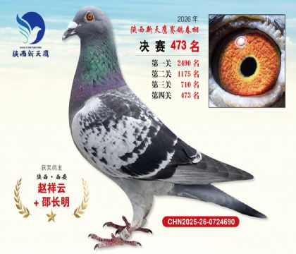 陕西新天鹰决赛473名