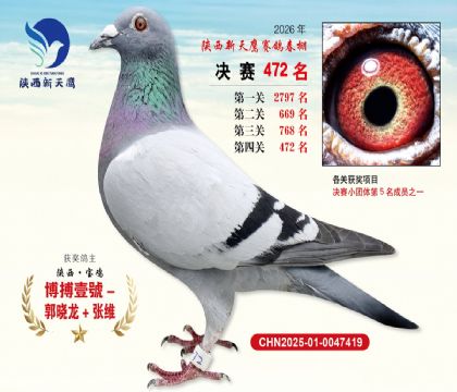陕西新天鹰决赛472名