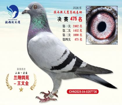 陕西新天鹰决赛475名