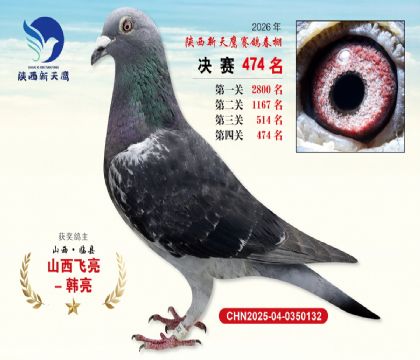 陕西新天鹰决赛474名