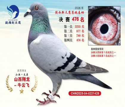 陕西新天鹰决赛476名