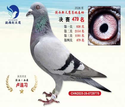 陕西新天鹰决赛479名