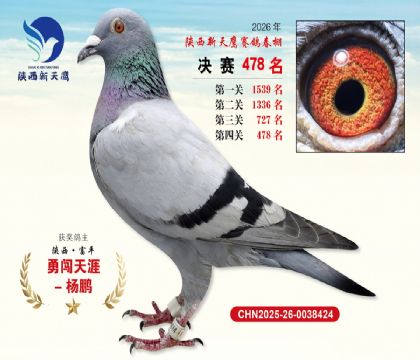 陕西新天鹰决赛478名