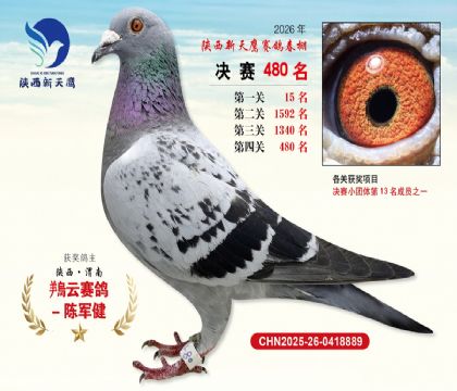 陕西新天鹰决赛480名