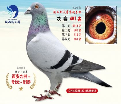 陕西新天鹰决赛481名