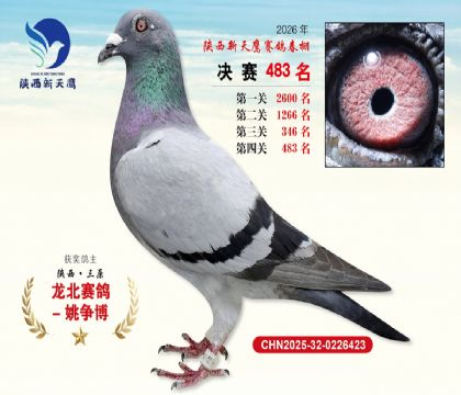 陕西新天鹰决赛483名