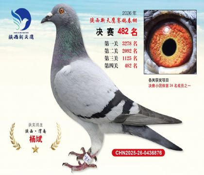 陕西新天鹰决赛482名