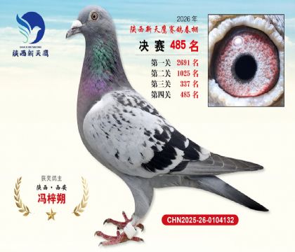 陕西新天鹰决赛485名