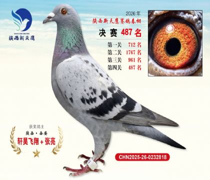 陕西新天鹰决赛487名