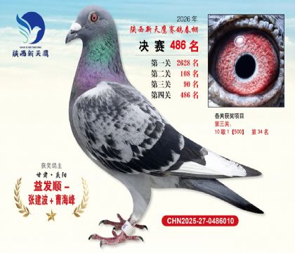 陕西新天鹰决赛486名