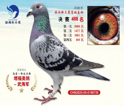 陕西新天鹰决赛488名