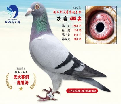 陕西新天鹰决赛489名