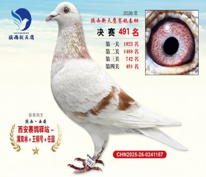 陕西新天鹰决赛491名