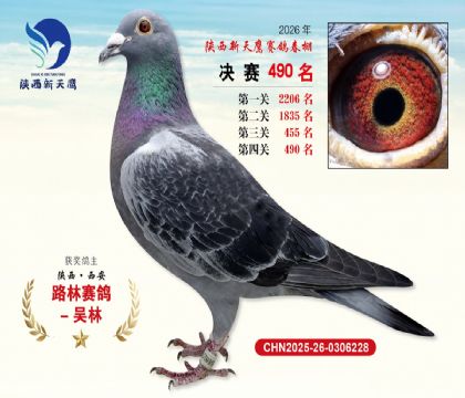 陕西新天鹰决赛490名