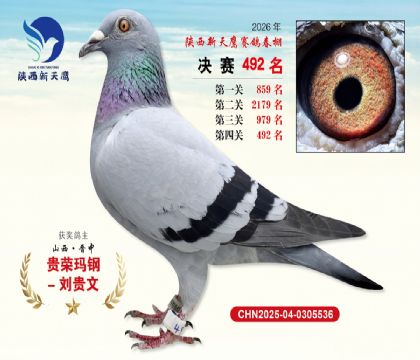 陕西新天鹰决赛492名