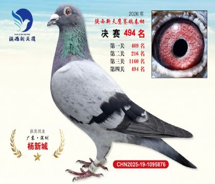 陕西新天鹰决赛494名