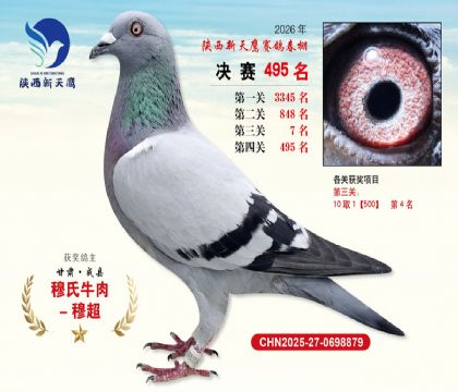陕西新天鹰决赛495名