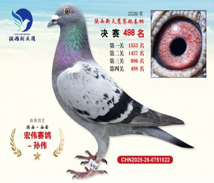 陕西新天鹰决赛498名