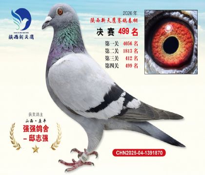 陕西新天鹰决赛499名