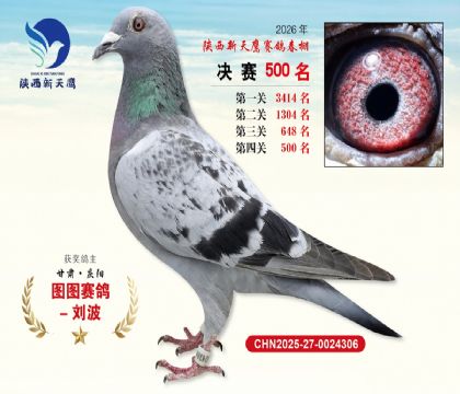 陕西新天鹰决赛500名
