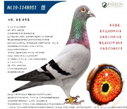 威廉迪布恩原舍(墨菲定律直子,特别推荐)