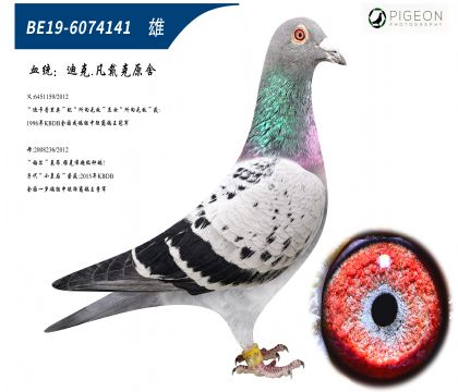 迪克凡戴克所向无敌(特别推荐)
