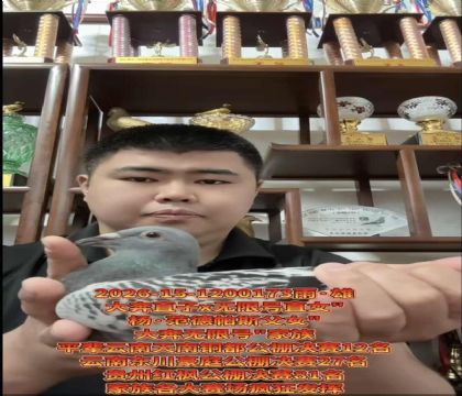 �ƹ󴨹���ʵս��������.������˹��Ů��ֱ��X���޺�ֱŮ