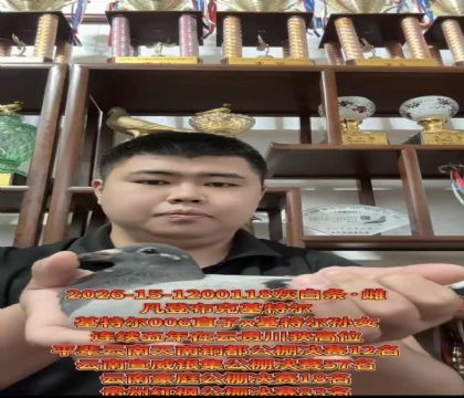 �ƹ�������ѡ���ǲ��ˡ�����ƥ��006��ֱ��X�����ض�����Ů