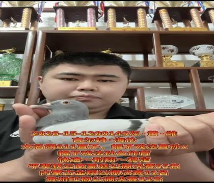 ������ӮǮ������������.����ñ��Ϸ��ֱ��Xñ��Ϸ����Ů